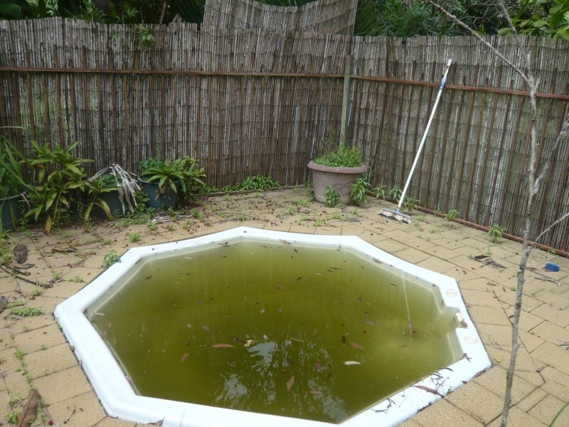 90 Fitzgerald Rd, Howard Springs NT 0835