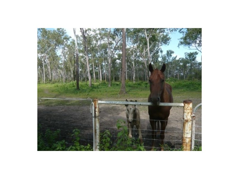 80 William Rd, Berry Springs NT 0838