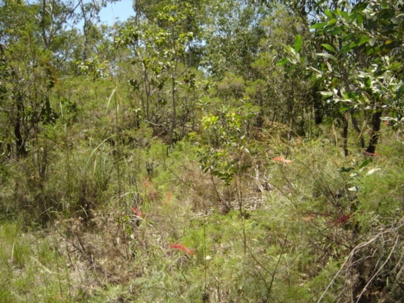 Lot 6 255 Elizabeth Valley Rd, Noonamah NT 0837
