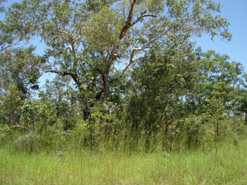 Lot 6 255 Elizabeth Valley Rd, Noonamah NT 0837