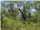 Lot 6 255 Elizabeth Valley Rd, Noonamah NT 0837