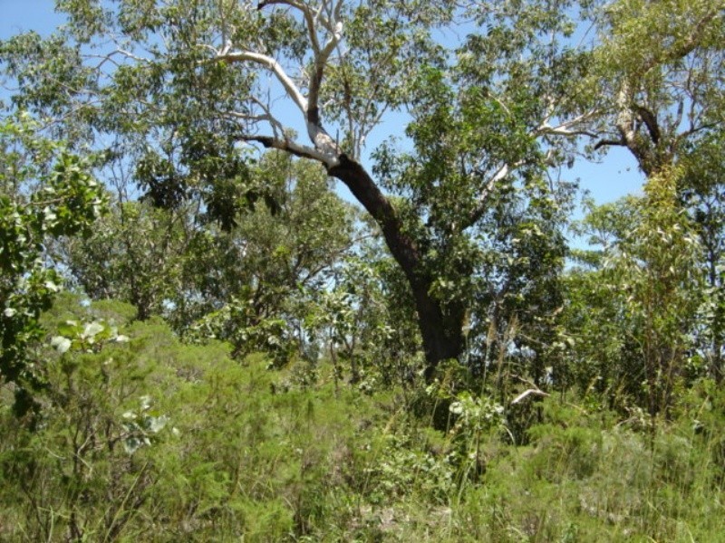 Lot 6 255 Elizabeth Valley Rd, Noonamah NT 0837