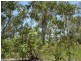 Lot 6 255 Elizabeth Valley Rd, Noonamah NT 0837
