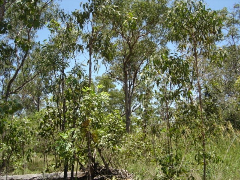 Lot 6 255 Elizabeth Valley Rd, Noonamah NT 0837
