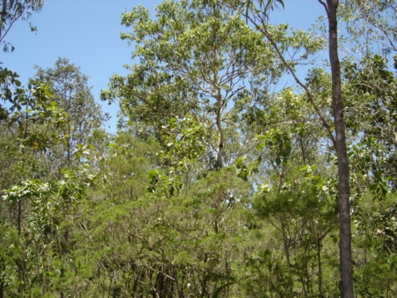 Lot 6 255 Elizabeth Valley Rd, Noonamah NT 0837