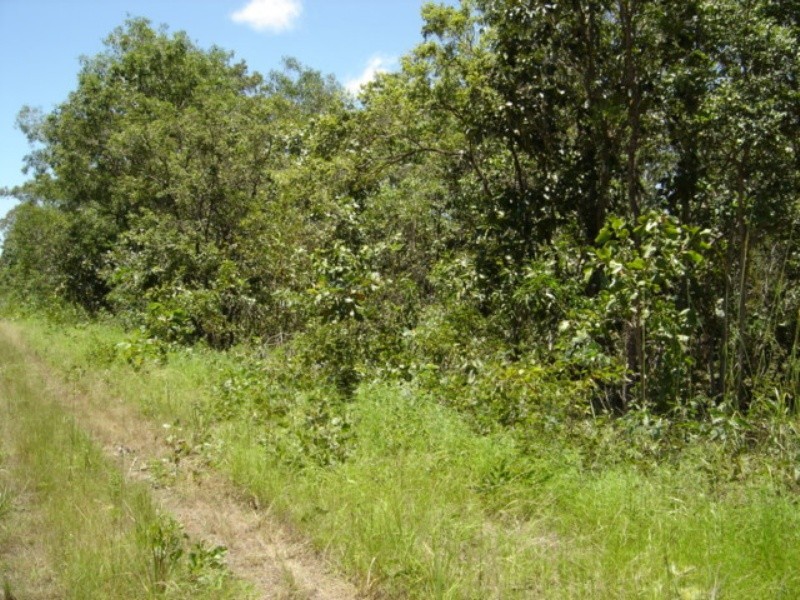 Lot 6 255 Elizabeth Valley Rd, Noonamah NT 0837