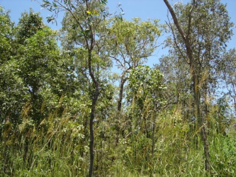 Lot 6 255 Elizabeth Valley Rd, Noonamah NT 0837