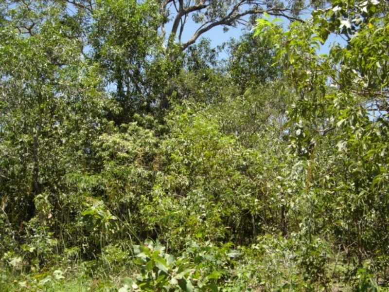 Lot 6 255 Elizabeth Valley Rd, Noonamah NT 0837