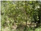 Lot 6 255 Elizabeth Valley Rd, Noonamah NT 0837