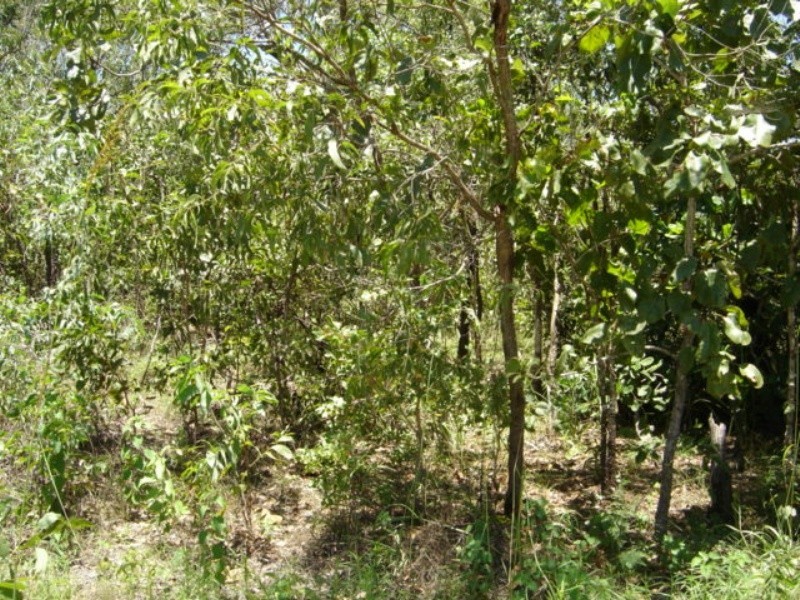 Lot 6 255 Elizabeth Valley Rd, Noonamah NT 0837