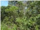 Lot 6 255 Elizabeth Valley Rd, Noonamah NT 0837