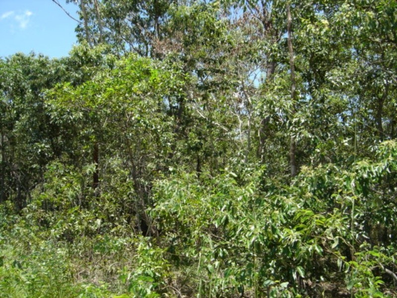 Lot 6 255 Elizabeth Valley Rd, Noonamah NT 0837