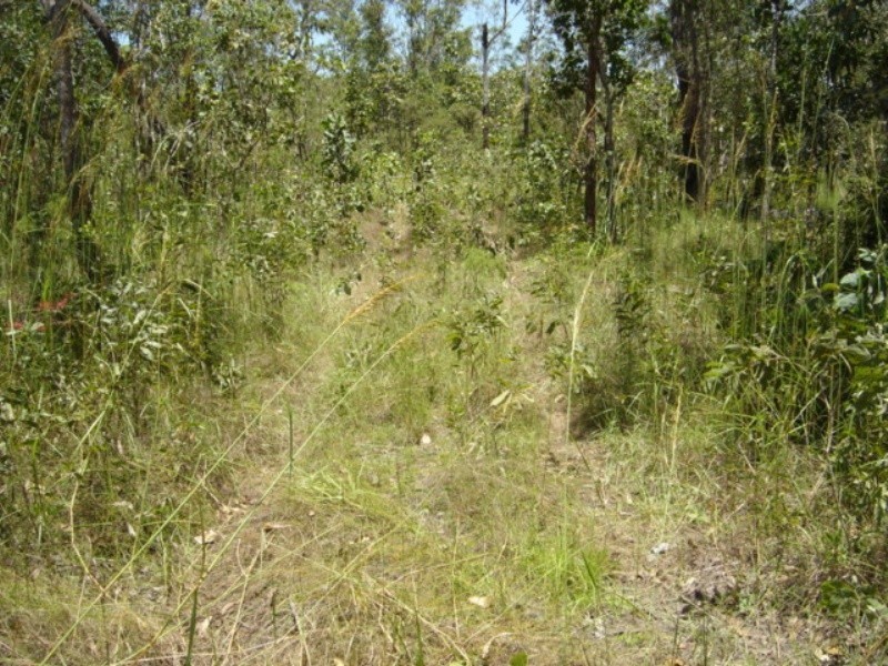 Lot 6 255 Elizabeth Valley Rd, Noonamah NT 0837