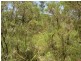 Lot 6 255 Elizabeth Valley Rd, Noonamah NT 0837