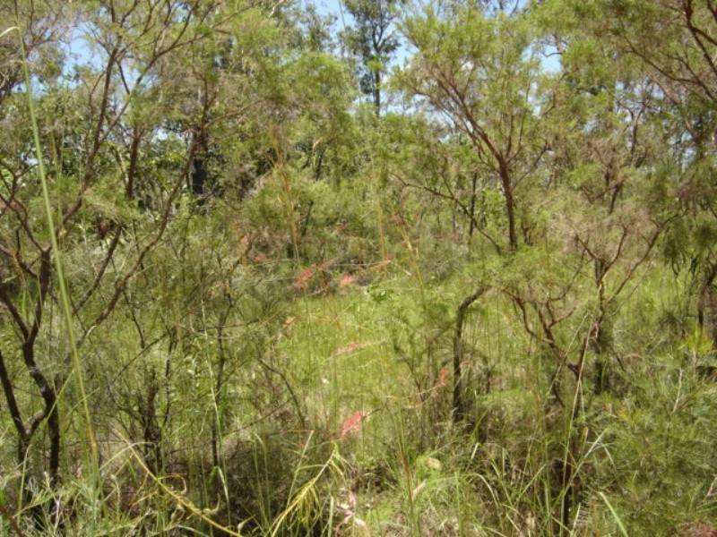Lot 6 255 Elizabeth Valley Rd, Noonamah NT 0837