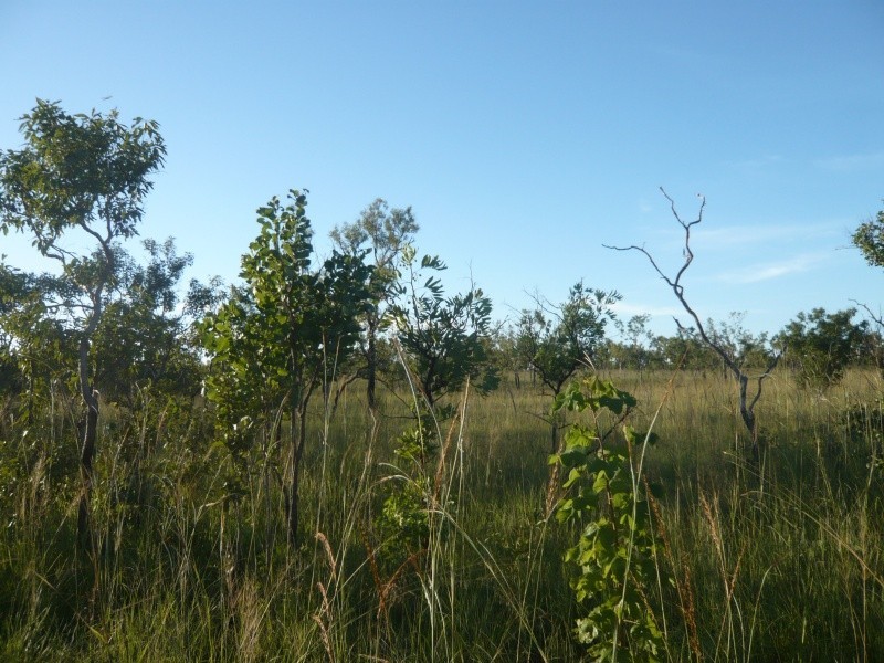 2645 Chibnall Rd, Fly Creek NT 0822