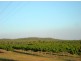 815 Milton Road, Stapleton, Adelaide River NT 0846
