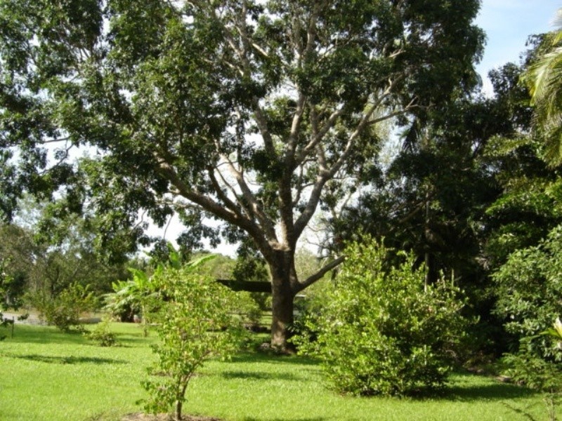 45 Jacomb Place, Virginia NT 0835