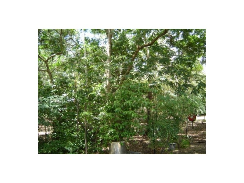 45 Currawong Drive, Howard Springs NT 0835