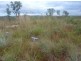 421 Owen Lagoon Rd, Lake Bennett NT 0822