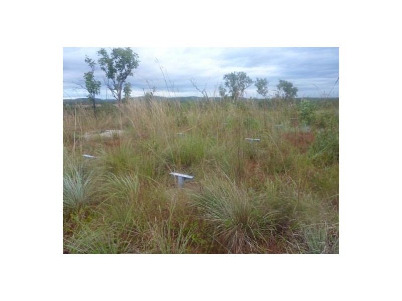 421 Owen Lagoon Rd, Lake Bennett NT 0822