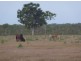 1145 Fleming Rd, Adelaide River NT 0846