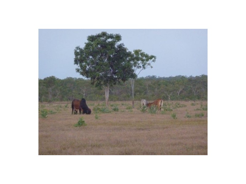 1145 Fleming Rd, Adelaide River NT 0846