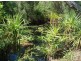 640 Acacia Gap Rd, Acacia Hills NT 0822