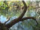 640 Acacia Gap Rd, Acacia Hills NT 0822