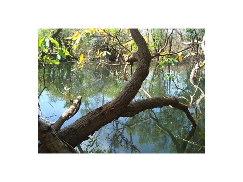 640 Acacia Gap Rd, Acacia Hills NT 0822