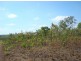 640 Acacia Gap Rd, Acacia Hills NT 0822