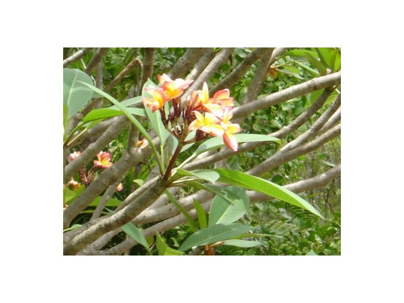 3258 Brahminy Rd, Humpty Doo NT 0836