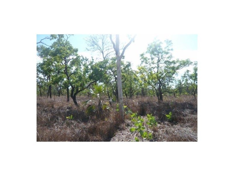 314 Otto Creek Road, Lake Bennett NT 0822