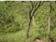 Lot 5213 Dorat Rd, Adelaide River NT 0846