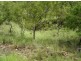 Lot 5213 Dorat Rd, Adelaide River NT 0846