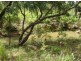 Lot 5213 Dorat Rd, Adelaide River NT 0846