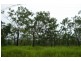 129 Guys Creek Rd, Acacia Hills NT 0822