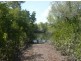 Bees Creek NT 0822