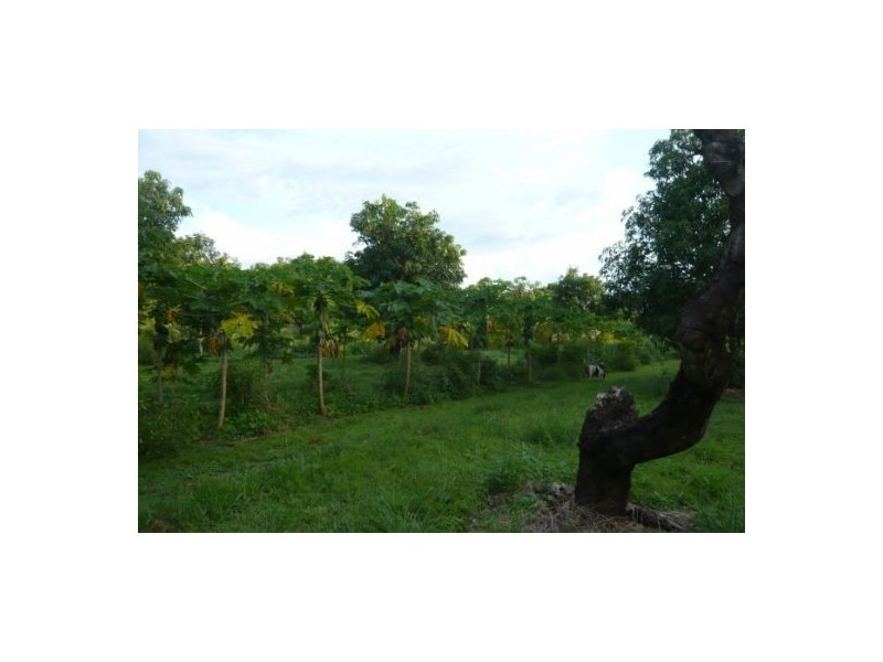 50 Keiley Rd, Humpty Doo NT 0836