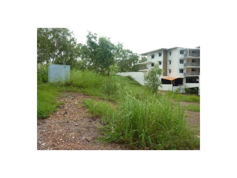 Driver NT 0830