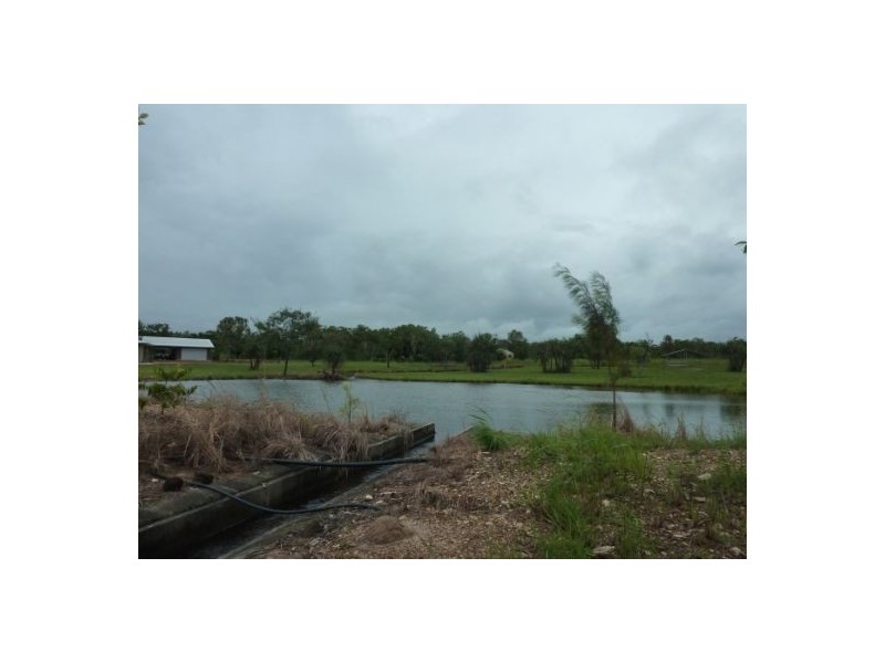 60 Levey Rd, Virginia NT 0835