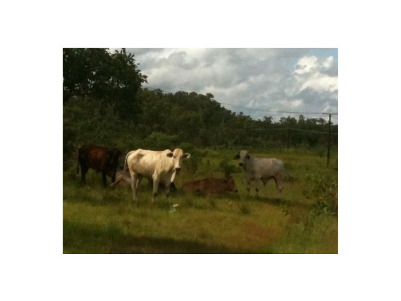 1060 Strickland Rd, Adelaide River NT 0846