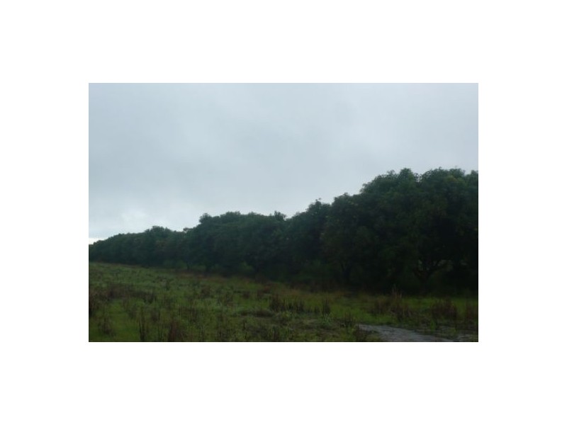 50 Connelly Rd (Lot 1), Lambells Lagoon NT 0822