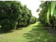 70 Pangola Rd, Humpty Doo NT 0836