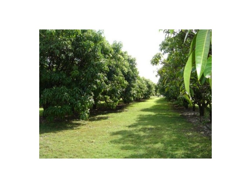 70 Pangola Rd, Humpty Doo NT 0836