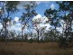 320 Chibnall Rd, Fly Creek NT 0822