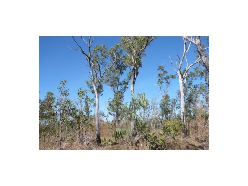 335 Darwin River Rd, Darwin River NT 0841