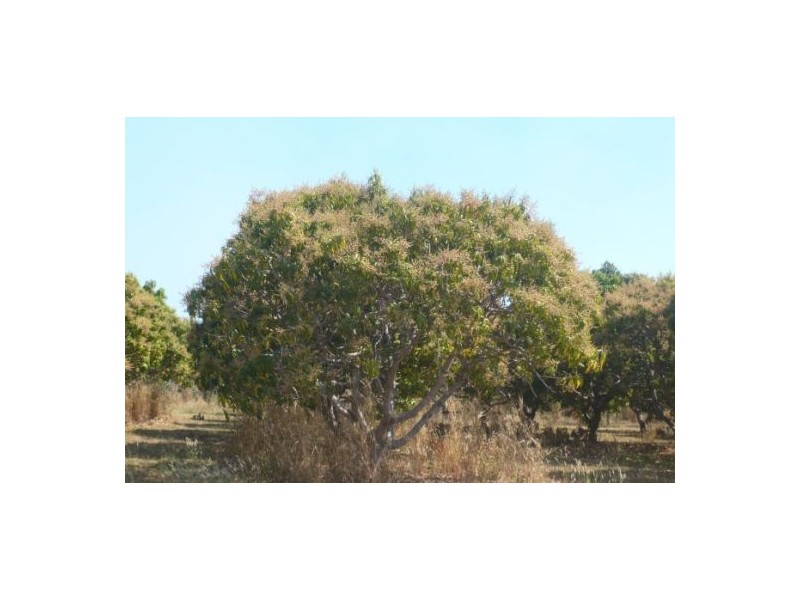 Lot 3 / 55 Beddington Rd, Herbert NT 0836