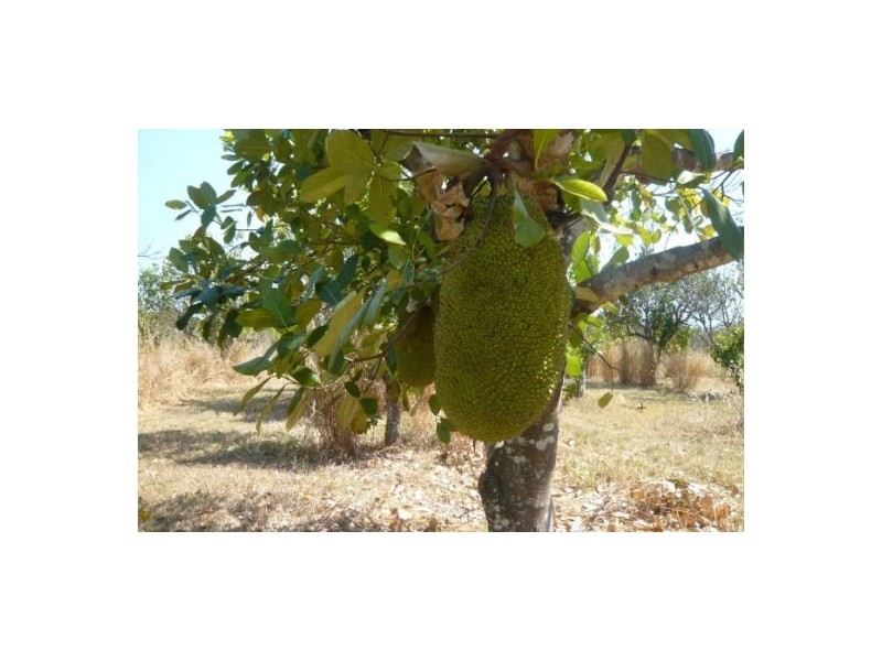 Lot 3 / 55 Beddington Rd, Herbert NT 0836