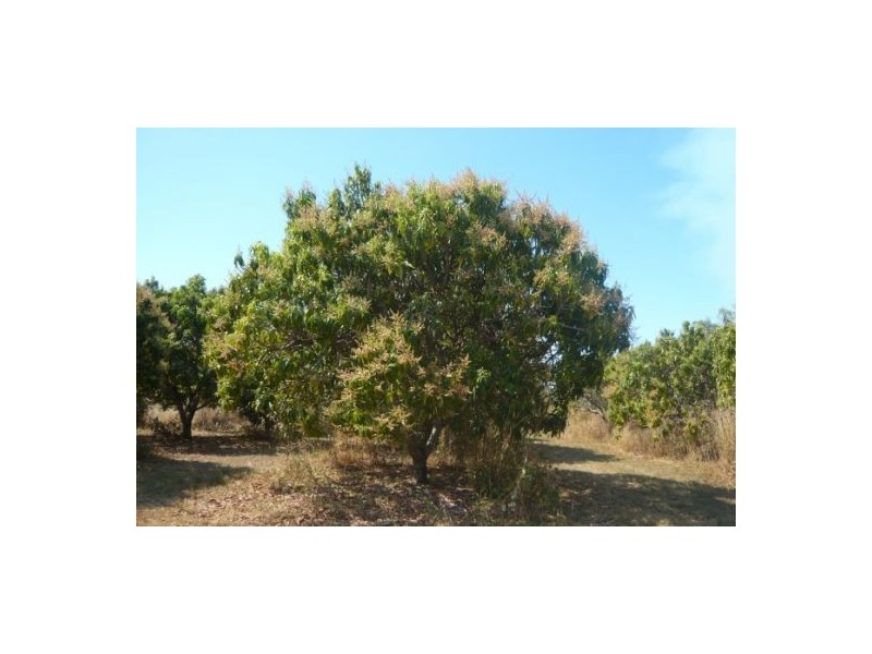 Lot 3 / 55 Beddington Rd, Herbert NT 0836